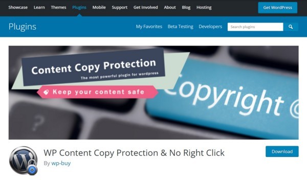 WP Content Copy Protection & No Right Click