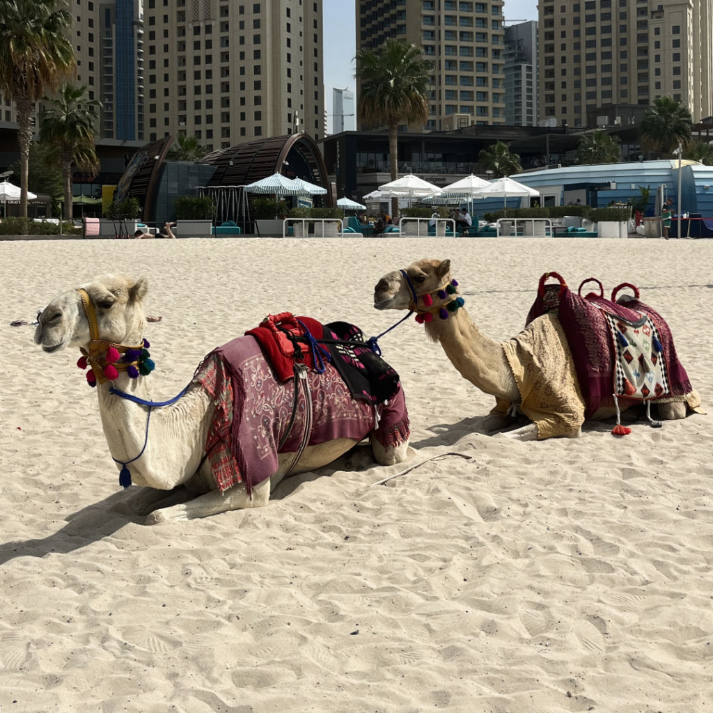 Тренды Sigma 2025