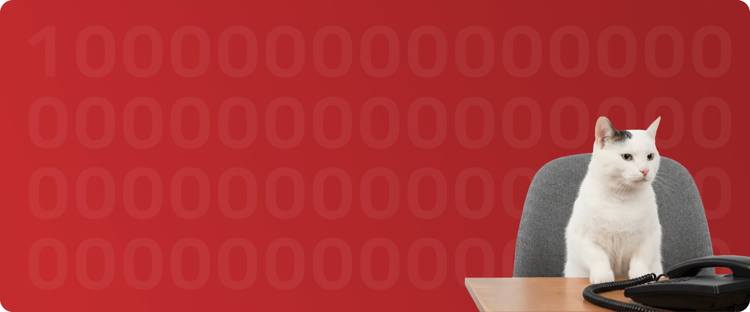 Сделали статью на Хабре про обсуждение зарплаты в IT: 16 000 читателей за неделю