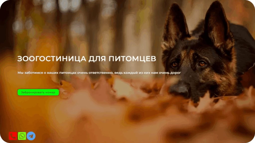 Страница сайта зоогостиницы